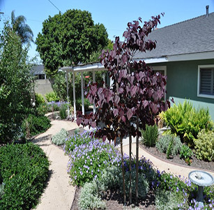 Backyard Retreat Garden